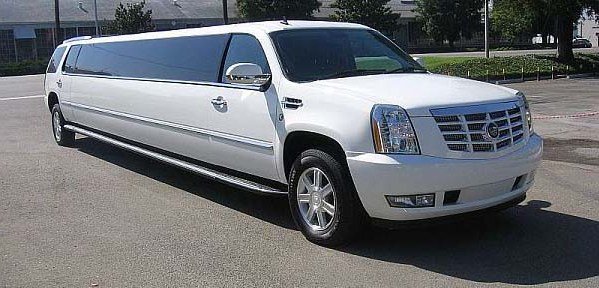 Limousine Services in BOS Airport